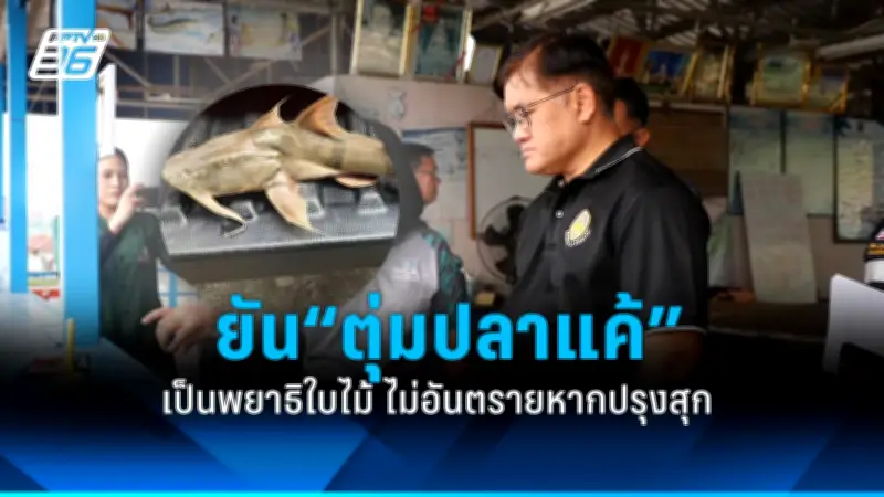 เปิด 5 สัญญาณเตือนโรคหัวใจที่คุณอาจไม่รู้ หมอแนะสังเกตก่อนสาย