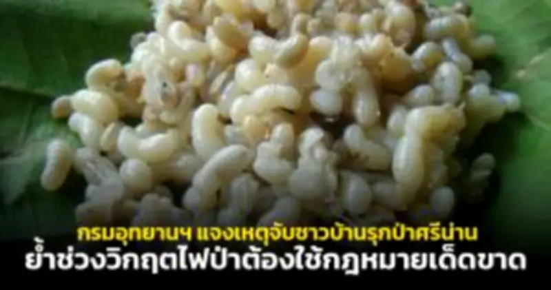 เปิดตัว ‘เราเที่ยวด้วยกัน’ เฟส 5 หวังกระตุ้นเศรษฐกิจท่องเที่ยว