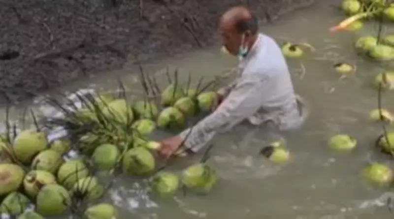 รถตู้รับส่งนักเรียนพลิกคว่ำที่เชียงใหม่ เจ็บ 6 ราย เด็กนร. 4 คน