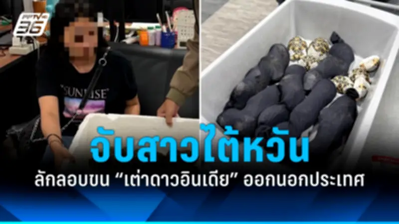 ชายวัย 60 ปีขับรถแหกด่านตำรวจ ชนรถยนต์เสียหาย 9 คัน ก่อนถูกจับกุม