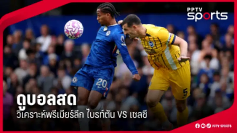 กีฬาไทยเตรียมความพร้อมสู่เวทีโลก หลังรัฐบาลประกาศแผนสนับสนุนนักกีฬาอาชีพ