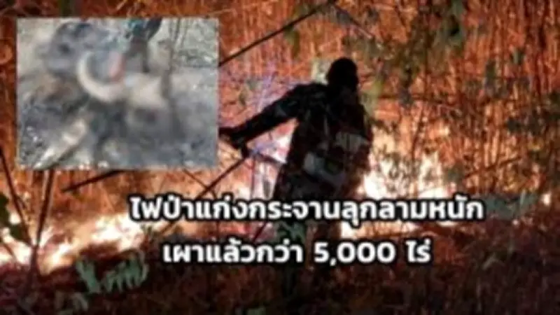 กทม. เตรียมปรับปรุงระบบจราจร หลังพบปัญหารถติดหนักช่วงฝนตก