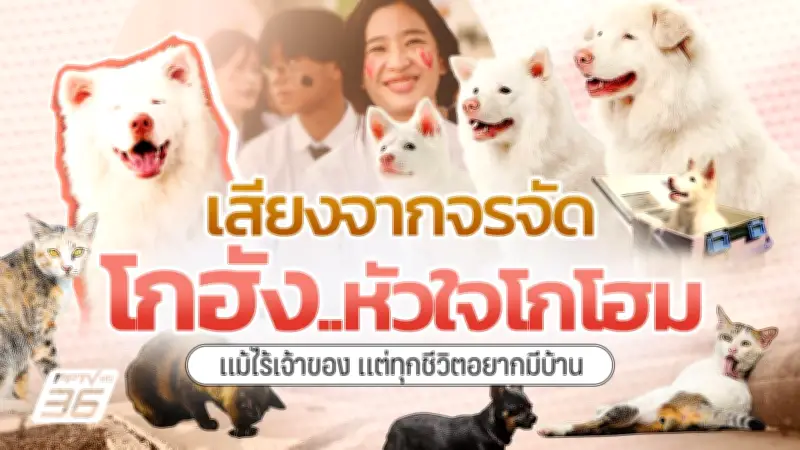 ไลฟ์สไตล์คนเมืองเปลี่ยน! เน้นสุขภาพ-ความยั่งยืน ส่งผลตลาดและสังคม