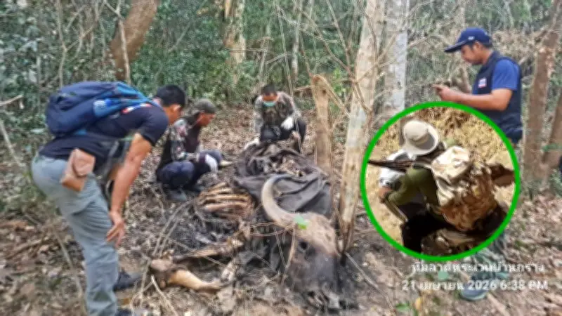 เผาป่าไล่ฆ่ากระทิง ล่าพรานโหดในอุทยานแก่งกระจาน โฆษกตร.ชี้เป็นขบวนการ