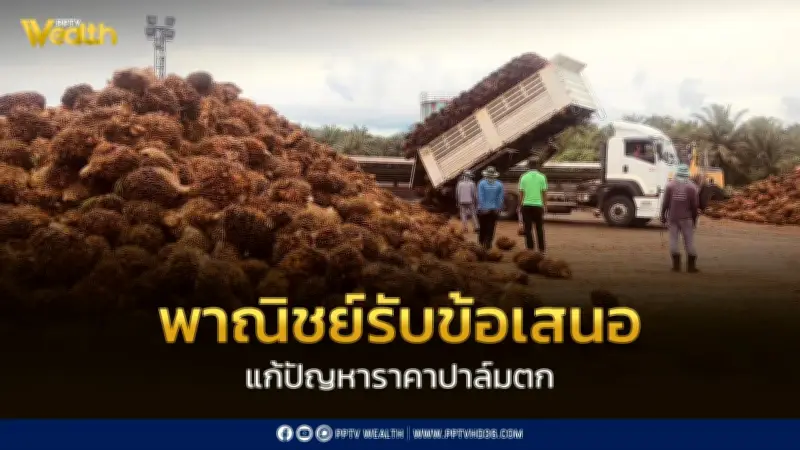 กระทรวงพาณิชย์สั่งเข้มตรวจราคารับซื้อปาล์มทั่วประเทศ รับข้อเสนอเกษตรกรแก้ปัญหาราคาตก