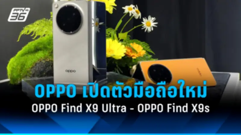 เอไอเพื่อความยั่งยืน เปลี่ยนโลกด้วยเทคโนโลยีอัจฉริยะ