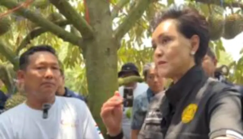 ช้างป่าหลงทางบุกสวนยางพารา ชาวบ้านแตกตื่นวิ่งหนีตาย
