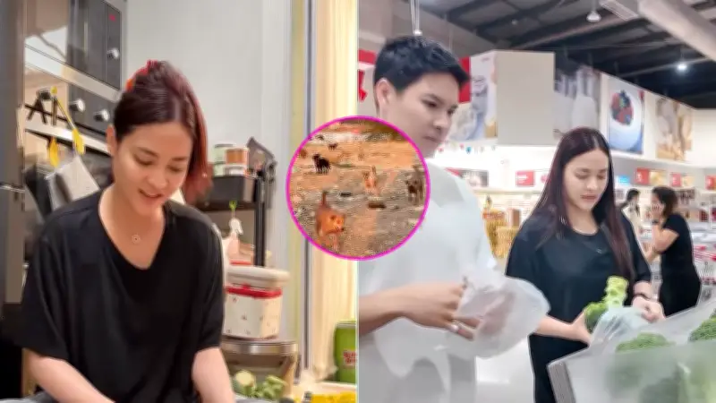 ปุ๊กลุก-ไมค์ ลงพื้นที่ทำอาหารเลี้ยงหมาจร ส่งต่อพลังบุญช่วยคุณป้าผ่าตัด