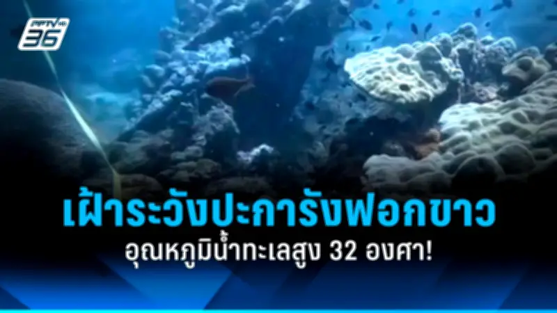 ช็อก! สาวถูกแฟนเก่าบุกทำร้ายกลางห้างดัง สาหัส