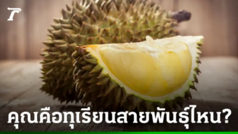 ทายนิสัยจากทุเรียนที่คุณชอบในหน้าร้อนนี้ ตรงหรือไม่?