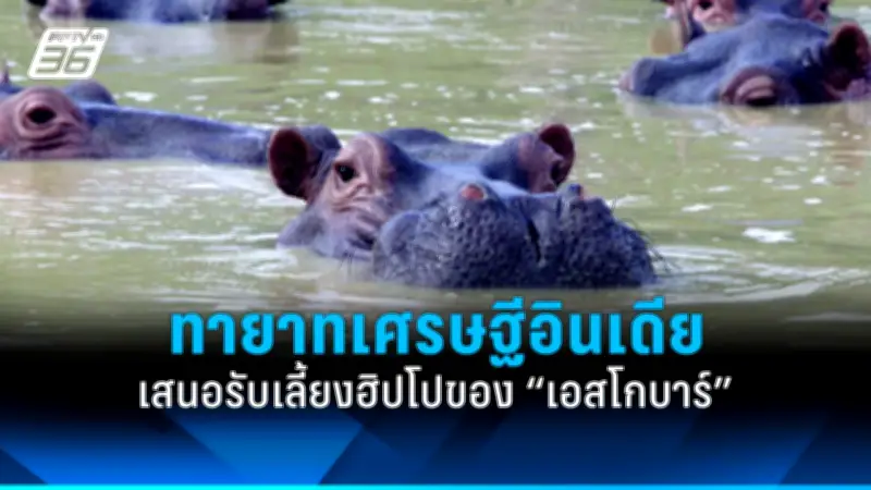 ตร.รวบหนุ่มใหญ่ชาวจีนขายบริการทางเพศออนไลน์ผ่านแอปหาคู่