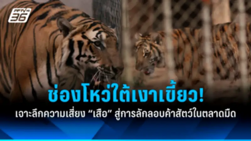 ม็อบชาวสวนยางใต้บุกศาลากลาง สงขลา จี้รัฐแก้ปัญหาราคาตกต่ำ