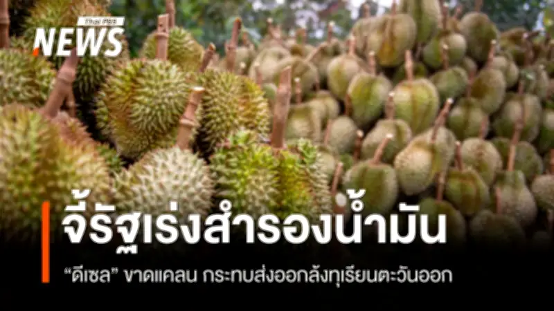 ชาวสวนทุเรียนภาคตะวันออกกังวลปัญหาพลังงานกระทบฤดูเก็บเกี่ยว-ส่งออก เรียกร้องรัฐบาลเตรียมน้ำมันรองรับ