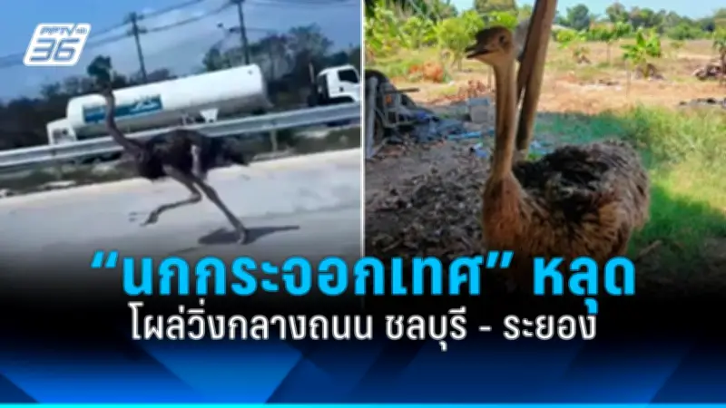 สหรัฐฯ ประกาศมาตรการคว่ำบาตรใหม่ต่อรัสเซีย หลังเหตุการณ์นาวาลนีเสียชีวิต