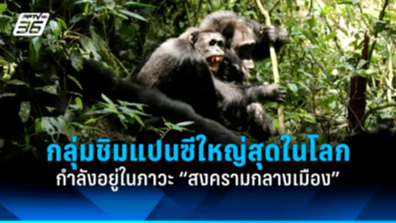 รัฐบาลไทยเดินหน้าปรับปรุงระบบขนส่งสาธารณะทั่วประเทศ ตั้งเป้าลดปัญหาการจราจร