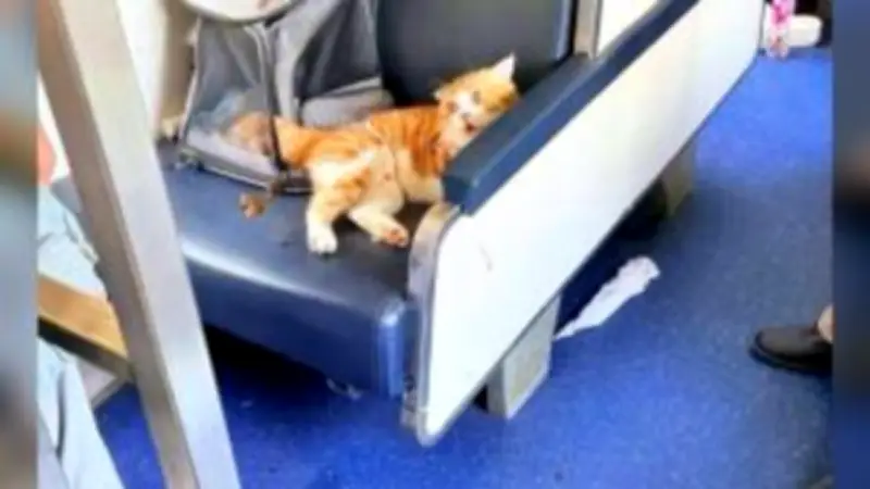 สหรัฐฯ ประกาศมาตรการคว่ำบาตรใหม่ เป้าหมายธนาคารรัสเซียและบริษัทเทคโนโลยี