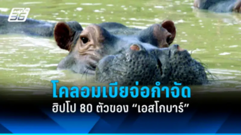 รัฐบาลเตรียมปรับปรุงโครงสร้างภาษีใหม่ หวังกระตุ้นเศรษฐกิจและลดความเหลื่อมล้ำ