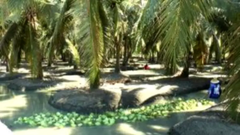 ปิดคดีสืบสวนเหตุไฟไหม้โรงงานพลาสติกย่านบางบอน หลังพบเป็นอุบัติเหตุจากไฟฟ้าลัดวงจร