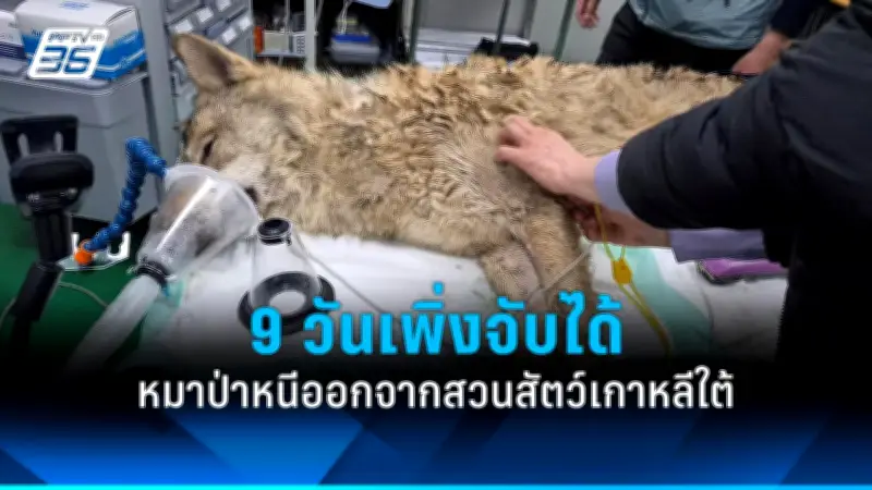 รัฐบาลไทยเตรียมปรับปรุงระบบขนส่งสาธารณะทั่วประเทศ ตั้งเป้าลดปัญหาการจราจรและมลพิษ