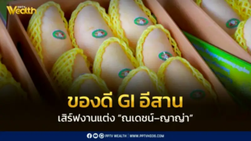 มะม่วง GI อีสาน 'น้ำดอกไม้สีทองบ้านแฮดขอนแก่น' โดดเด่นในงานแต่งณเดชน์-ญาญ่า
