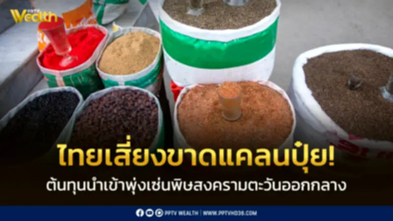 Krungthai COMPASS เตือนไทยเสี่ยงขาดแคลนปุ๋ยจากสงครามตะวันออกกลาง ต้นทุนนำเข้าพุ่ง 40%