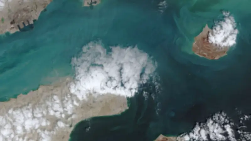 กระทรวงการต่างประเทศแจ้ง SCG เรือไทยลำหนึ่งออกจากช่องแคบฮอร์มุซแล้ว หลังรมว.ต่างประเทศเยือนโอมาน