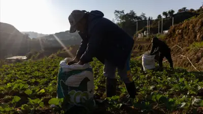 ยูเอ็นเตือน 32 ล้านคนเสี่ยงตกสู่ความยากจน แม้สงครามตะวันออกกลางยุติพรุ่งนี้