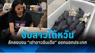 ชายวัย 60 ปีขับรถแหกด่านตำรวจ ชนรถยนต์เสียหาย 9 คัน ก่อนถูกจับกุม