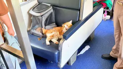 เช็กสัญญาณเตือนเบาหวาน 7 อาการสำคัญ พร้อมวิธีป้องกันภาวะเบาหวานลงเท้า