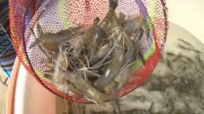 กรมอุทยานฯ เตรียมปรับปรุงระบบจองเต็นท์ออนไลน์ใหม่ หลังพบปัญหาล้นเซิร์ฟเวอร์ช่วงเทศกาล