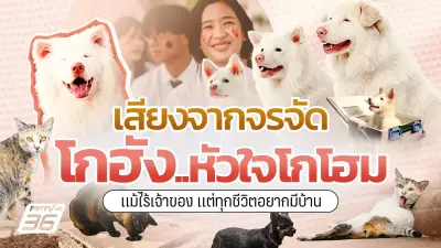 ไลฟ์สไตล์คนเมืองเปลี่ยน! เน้นสุขภาพ-ความยั่งยืน ส่งผลตลาดและสังคม