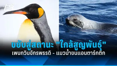 รัฐบาลไทยเตรียมปรับโครงสร้างภาษีใหม่ หวังกระตุ้นเศรษฐกิจและลดความเหลื่อมล้ำ