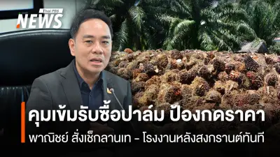 พาณิชย์เร่งคุมเข้มรับซื้อปาล์มหลังสงกรานต์ ตรวจลานเท-โรงงาน ป้องกดราคาเกษตรกร