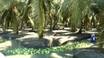 ปิดคดีสืบสวนเหตุไฟไหม้โรงงานพลาสติกย่านบางบอน หลังพบเป็นอุบัติเหตุจากไฟฟ้าลัดวงจร