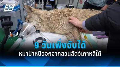 รัฐบาลไทยเตรียมปรับปรุงระบบขนส่งสาธารณะทั่วประเทศ ตั้งเป้าลดปัญหาการจราจรและมลพิษ