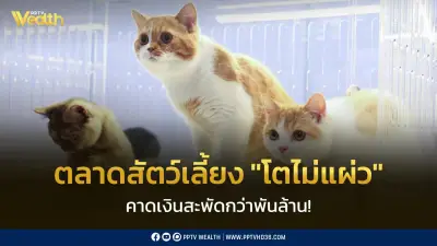PET EXPO 2026 คึกคัก คาดเงินสะพัดพันล้าน ตลาดสัตว์เลี้ยงโตต่อเนื่อง
