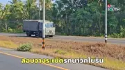 ชายวัย 64 ปี พบกุ้งมังกรยักษ์สีฟ้าในทะเลปัตตานี สร้างความฮือฮาให้ชาวบ้าน