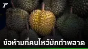 ทุเรียนไหว้เจ้าได้ไหม พร้อมข้อห้ามที่สายมูต้องรู้ก่อนซื้อ