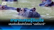ตร.รวบหนุ่มใหญ่ชาวจีนขายบริการทางเพศออนไลน์ผ่านแอปหาคู่