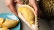 ทุเรียนแหล่งพลังงานออกกำลังกาย ไขข้อสงสัยน้ำตาลและโพแทสเซียม