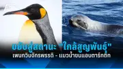 รัฐบาลไทยเตรียมปรับโครงสร้างภาษีใหม่ หวังกระตุ้นเศรษฐกิจและลดความเหลื่อมล้ำ