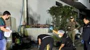 สาวตกตึกดับปริศนา พบร่องรอยถูกล่วงละเมิด เรียกสอบเพื่อนชายต่างชาติ