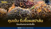 กรมการค้าภายในคุมเข้มรับซื้อผลปาล์มหลังสงกรานต์ ป้องกันกดราคาเกษตรกร