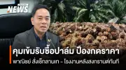 พาณิชย์เร่งคุมเข้มรับซื้อปาล์มหลังสงกรานต์ ตรวจลานเท-โรงงาน ป้องกดราคาเกษตรกร