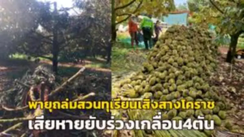 ทลายโกดังบุหรี่ไฟฟ้าเถื่อน ยึดของกลางนับหมื่นชิ้น มูลค่ากว่า 10 ล้าน