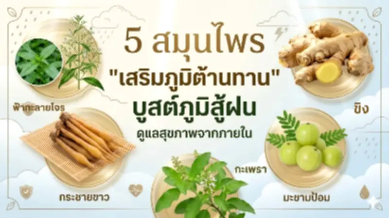 รวม 10 ข้อควรรู้ก่อนซื้อประกันสุขภาพ ป้องกันความเสี่ยง