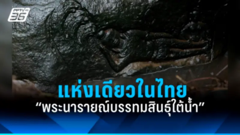 เปิดโผ 10 อันดับสัตว์มีพิษร้ายแรงที่สุดในโลก หนูไม่เชื่อต้องอ่าน