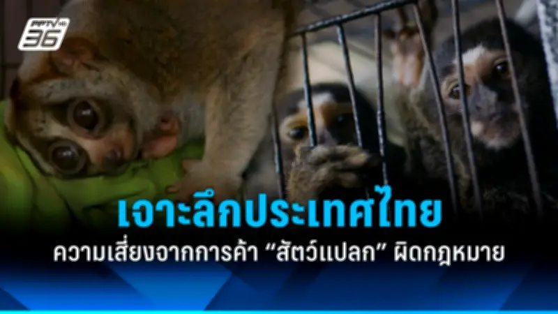 คดีดัง! หนุ่มเมาแล้วขับชนคนตายศาลสั่งจำคุก 10 ปี