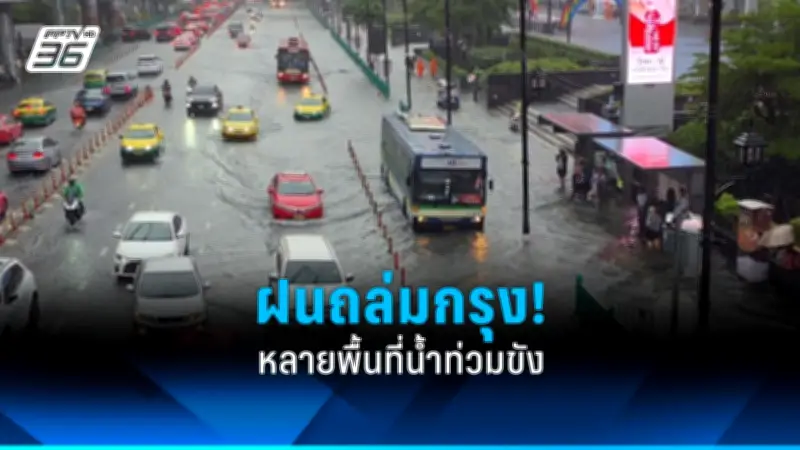 ชวนดูฝนดาวตกเจมินิดส์ คืน 13-14 ธ.ค. 67 สวยที่สุดแห่งปี