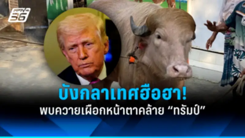 สหรัฐฯ อนุมัติส่งอาวุธมูลค่า 1.5 พันล้านดอลลาร์ให้ยูเครน
